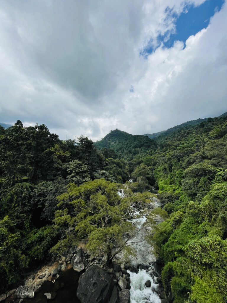 A waterfall coming down a forest covered mountain.
