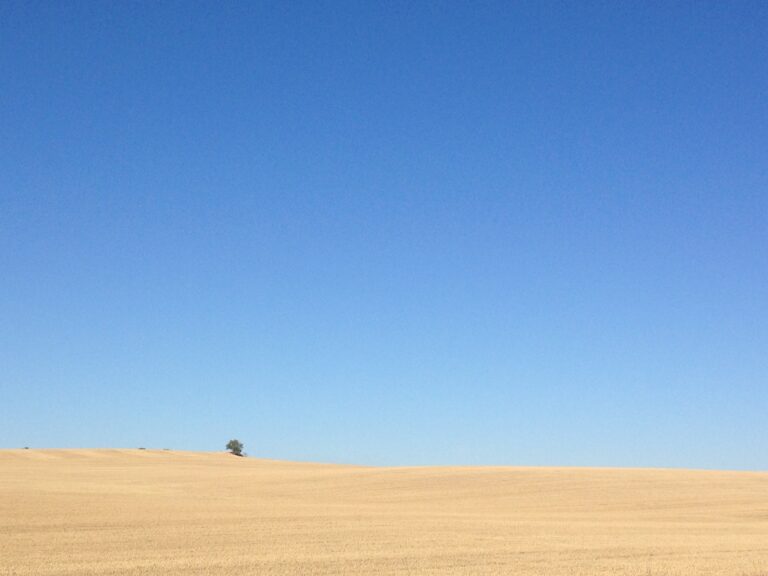 the picture is mostly filled with clear sky, the foreground is cut wheat, with a lone tree on the horizon.