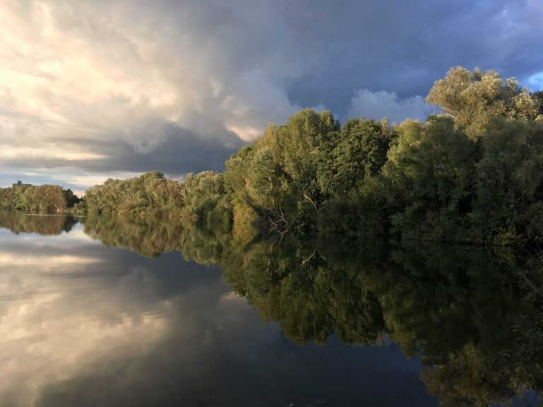 Trees along the edge of water. The water is very calm, so the trees and sky are reflected perfectly. The clouds make the right side shady whilst the left side is sunny.